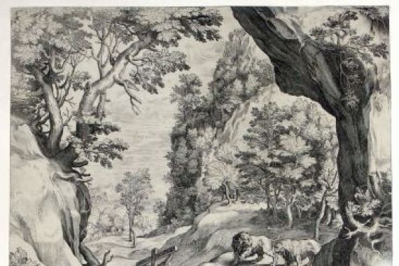 Cornelis Cort