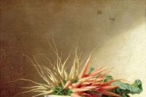 David Emil Joseph de Noter