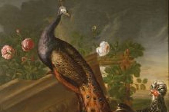 David de Koninck
