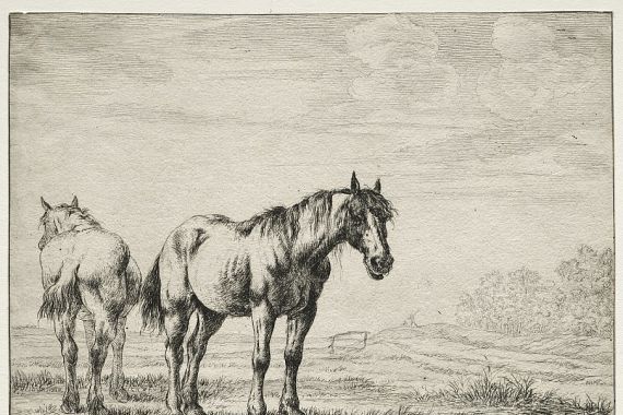 Dirck Stoop