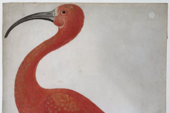 Dorothea Maria Gsell (attributed to)