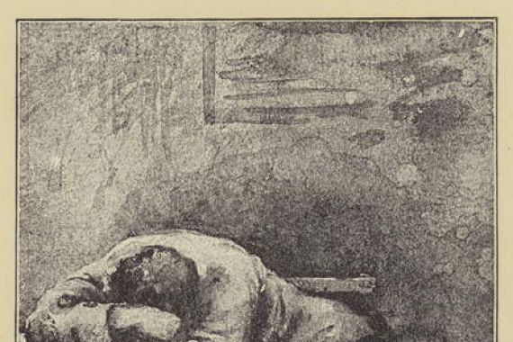 Dorothy nee Tennant Stanley