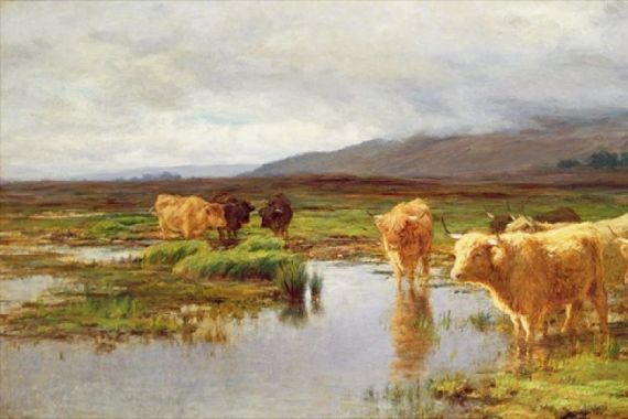 Duncan McLaurin