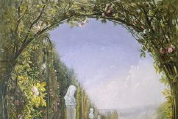 E. Adveno Brooke
