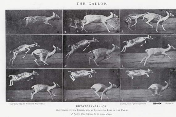 Eadweard Muybridge
