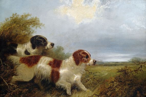 Edward Armfield