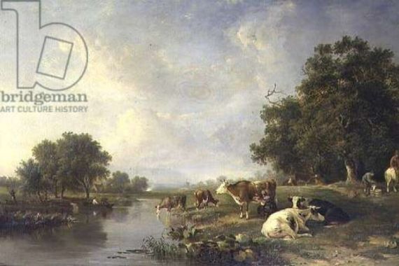 Edward Williams