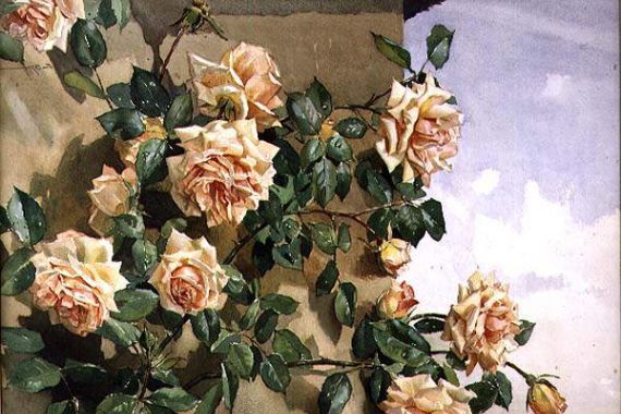 Edwin Byatt