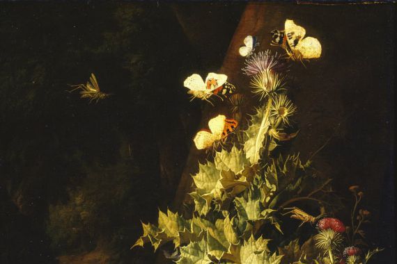 Elias van den Broeck