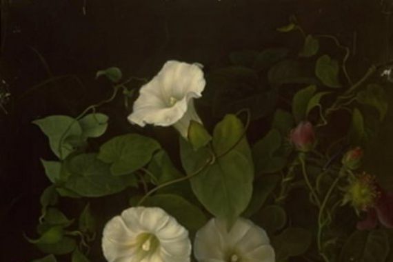 Emma Thomsen
