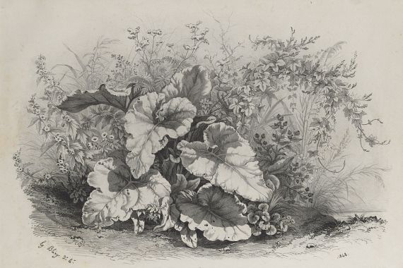 Eugene Bléry