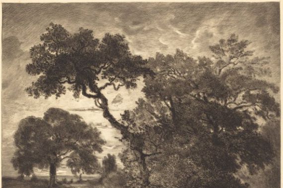 Félix Bracquemond after Théodore Rousseau