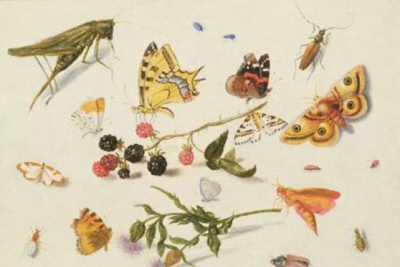 Ferdinand van Kessel