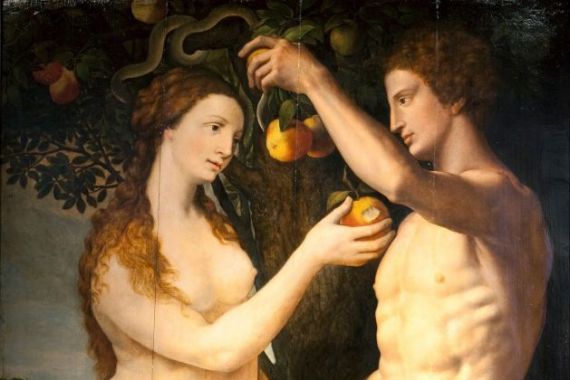 Frans Floris