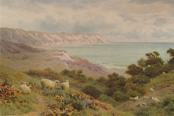 Frederick Williamson