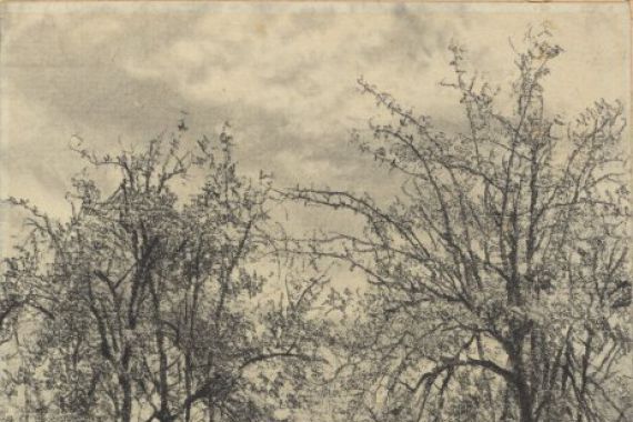 Fritz Schulze