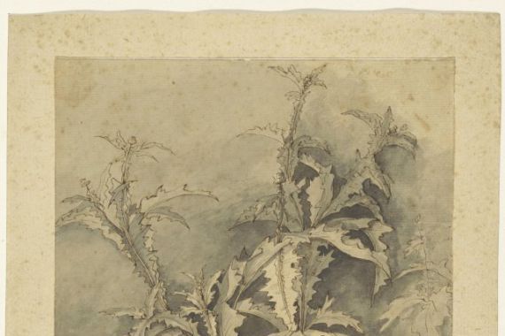 G. Hamilton (possibly)