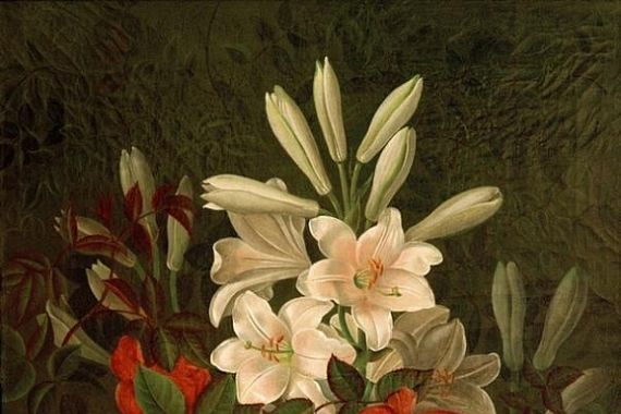 G. Normann