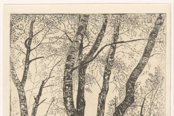 G. van der Mey (signed by artist)