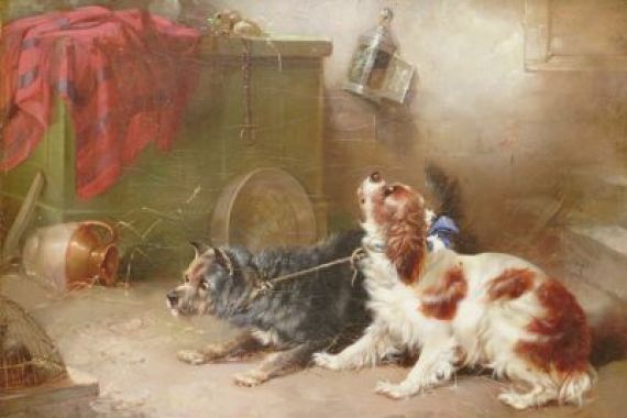 George Armfield