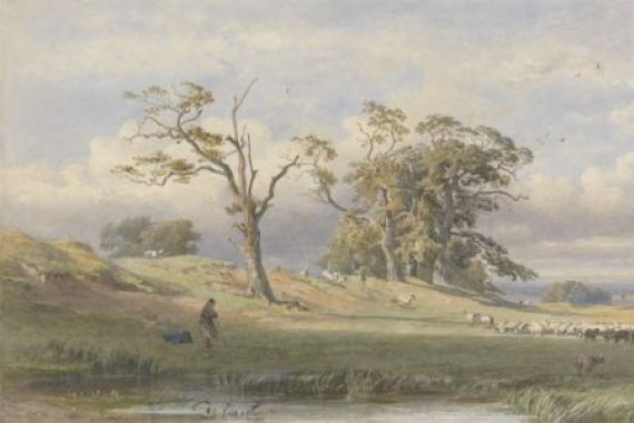 George Arthur Fripp