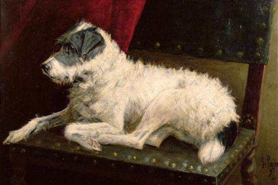 George Paice