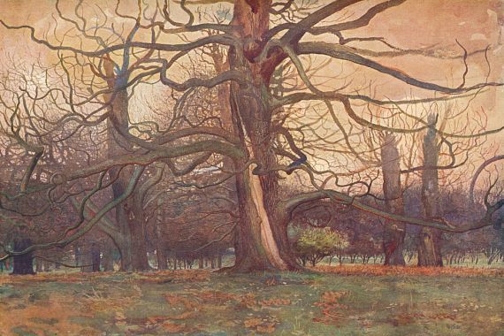 George Wilson