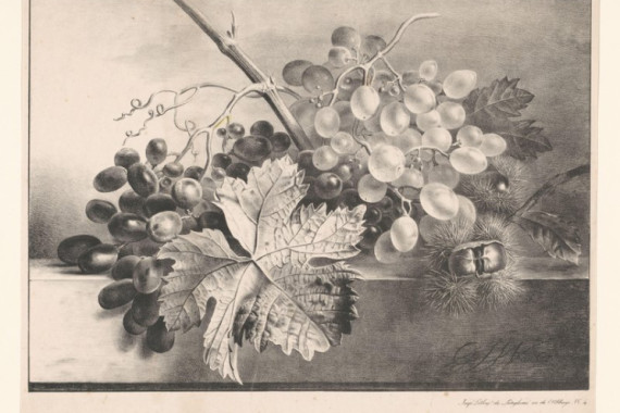 Georgius Jacobus Johannes van Os