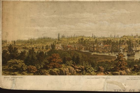 H. O.; Picken Tiedemann