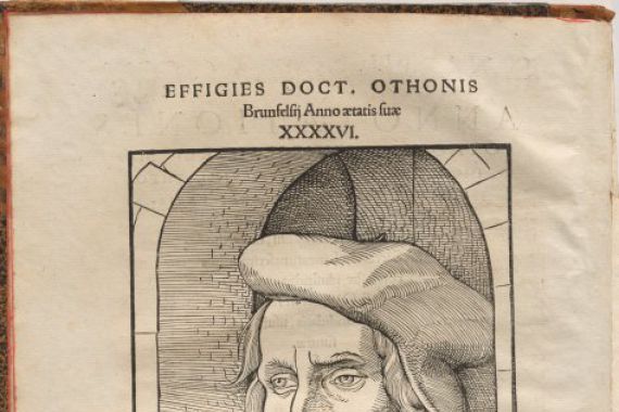 Hans Baldung Grien, Otto Brunfels