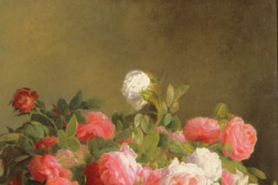 Hans Looscher
