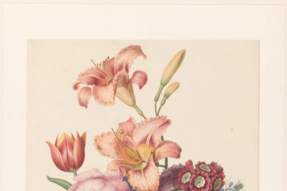 Henriëtte Geertruida Knip