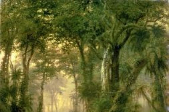 Henri Cleenewerck