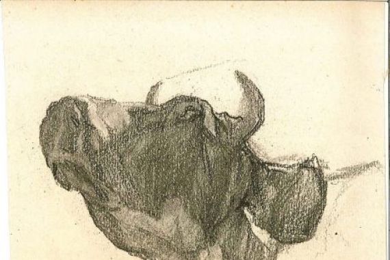 Henry Luyten
