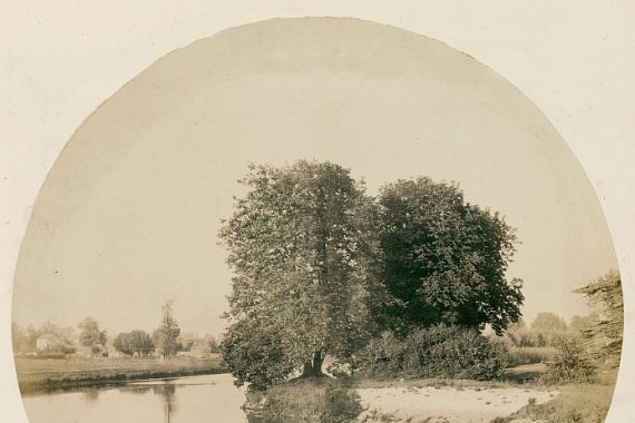 Henry White