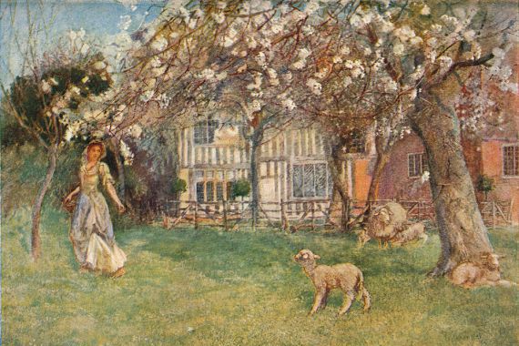 Herbert Alexander Collins