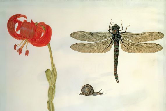 Herman Henstenburgh