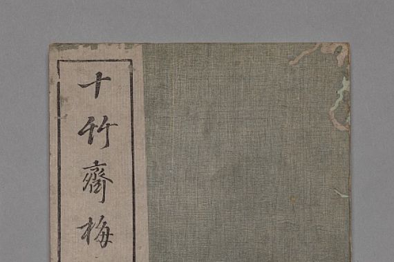 Hu Zhengyan
