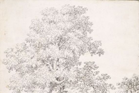 I. Inghivami