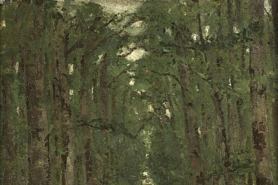 Ion Andreescu