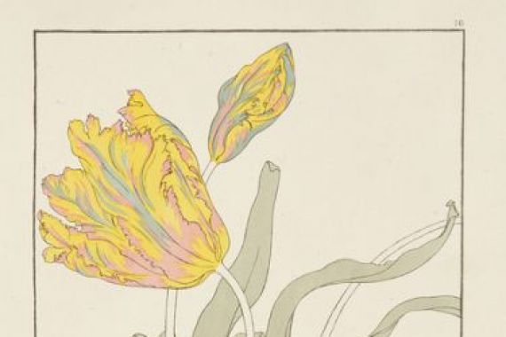 J. Foord