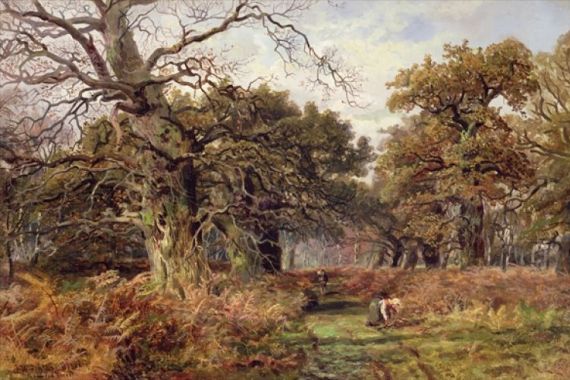 J. Hudson Willis