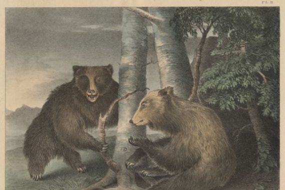 J. R. Peale