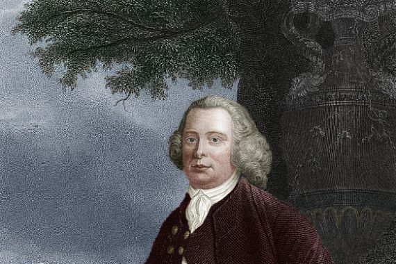 JT Wedgwood