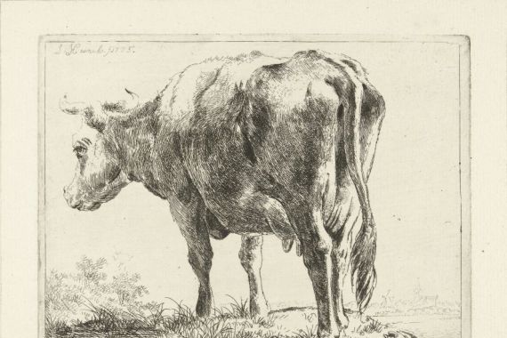 Jabes Heenck