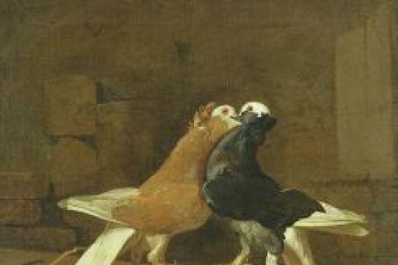 Jacomo Victors