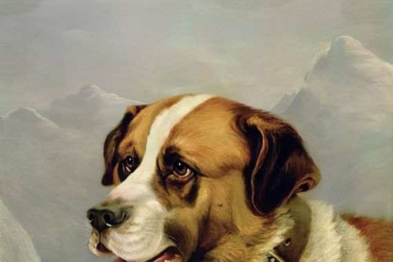 James E. Bourhill
