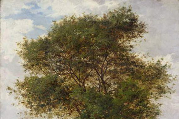 James Hey Davies