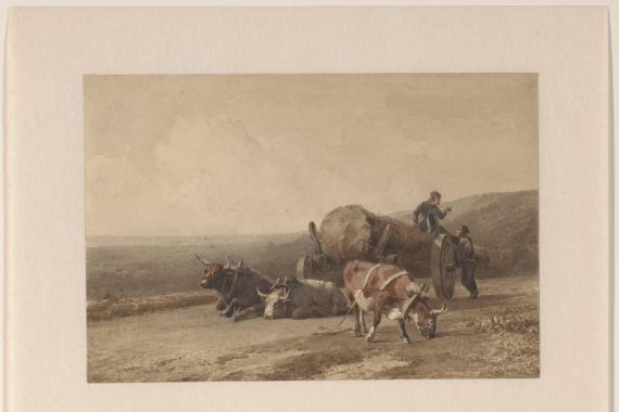 Jan Bedijs Tom