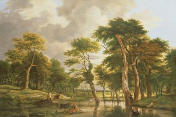 Jan Hackaert